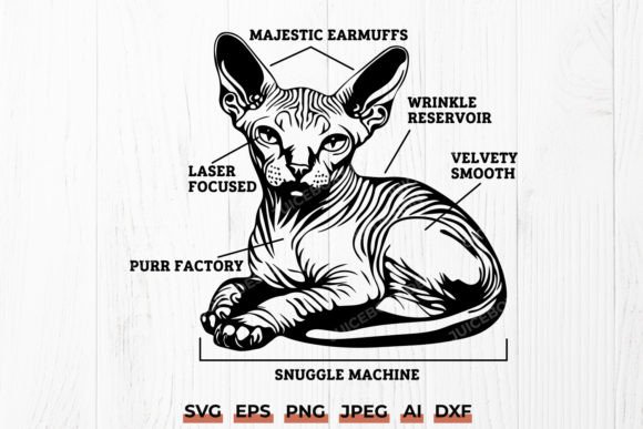 Sphynx Cat Anatomy SVG Funny Sphynx Graphics for Crafts